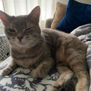 Meet your Posher, Paige